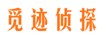 晴隆市场调查